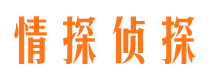 纳溪市私家侦探